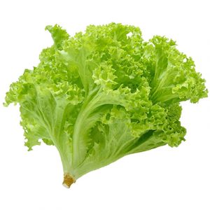 Lettuce