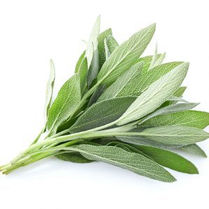 Sage