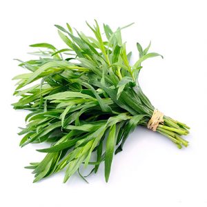 Tarragon